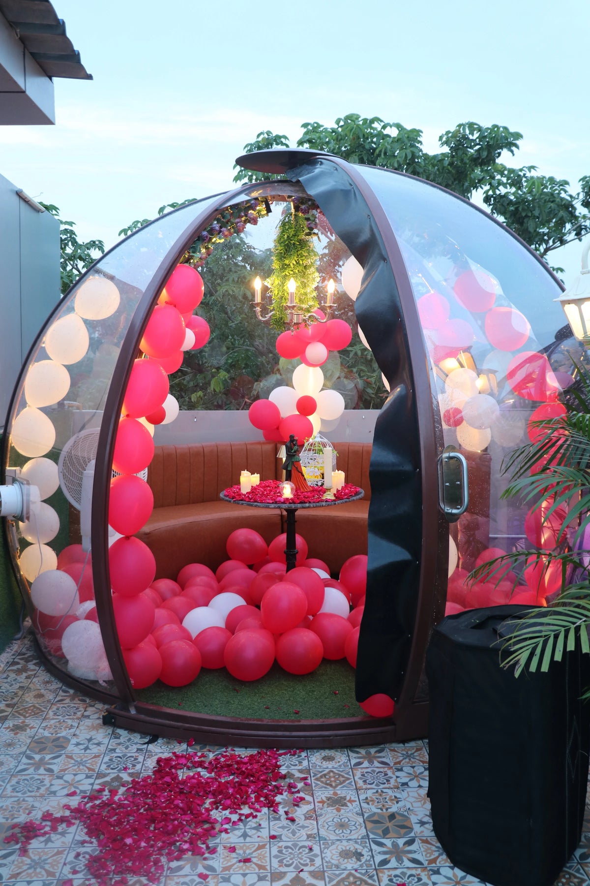 Bliss Dome Package: ₹9999 (Book Now -₹999)